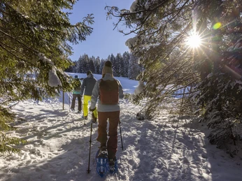 06A69ADE 07EC 4F43 A3AB D1F1118A2948 1 105 c