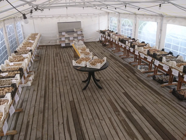 Ausstellungs- und Verkaufzelt