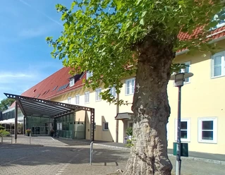 Eingangsbereich Hotel am See, Gästehaus der Salzgitter AG