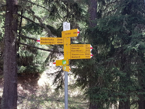 Wanderung von der Riederalp über die Knebelbrücke nach Blatten