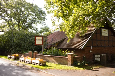 Riekelnhof Mosterei Riekelnhof Mosterei mit Fachwerk-Gebäude, Kürbiskisten und grünen Bäumen in ländlicher Umgebung.