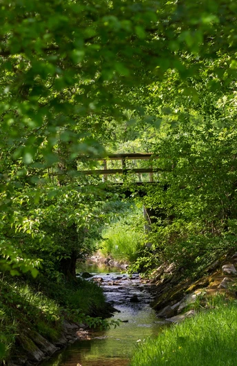 Zwischen Bäumen und Hecken eine kleine Holzbrücke über einem kleinen Bach