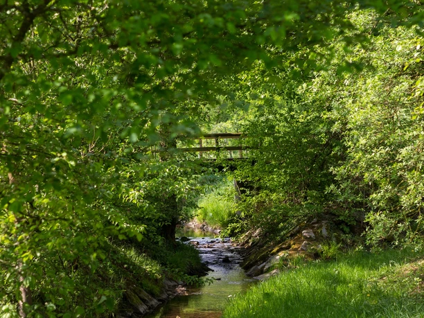 Zwischen Bäumen und Hecken eine kleine Holzbrücke über einem kleinen Bach