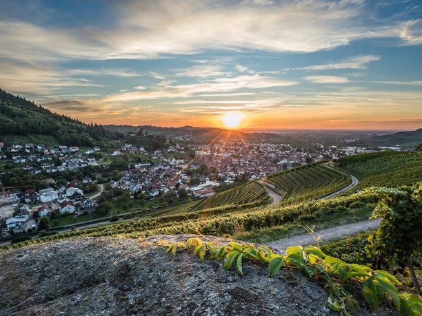 Im Vordergrund Reben und der Ort Kappelrodeck. Man schaut auf die untergehende Sonne hinten im Tal