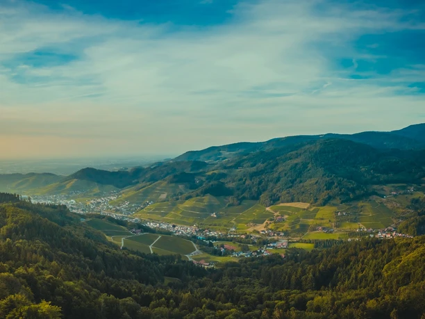 Blick über Kappelrodeck. Im Vorder- und im Hintergrund bewaldete Berge. Im Zentrum Kappelrodeck und Weinberge