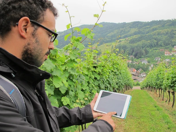 EIn Mann mit schwarzer Jacke, Brille und Bart schaut auf ein Smartphone. Im HIntergrund Reben