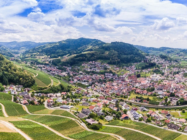 Panoramablick auf Kappelrodeck: Im Zentrum der Ort, im Vordergrund Rebberge, im HIntergrund bewaldete Berge