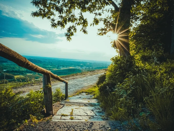 Ein Weg mit einem Geländer aus Baumstämmen führt auf einen Schotterweg. Man blickt dahinter ins Tal