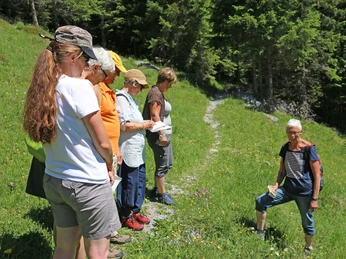 Randonnée sur le thème des herbes avec une spécialiste Kräuterfachfrau steht mit Gruppe am Wegrand und erklärt PflanzenHerbalist stands with the group by the wayside and explains plantsUne herboriste se tient au bord du chemin avec un groupe et explique les plantes