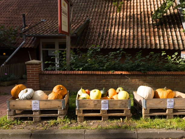 Riekelnhof_Mosterei Drei Kisten mit verschiedenen Kürbissen vor einem Backsteingebäude mit schrägem Ziegeldach.