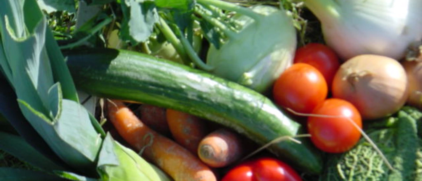Gärtnerhof Westerwinkel Frisches Gemüse wie Lauch, Paprika und Gurken in einer Kiste, bereit für den Verkauf auf dem Markt.