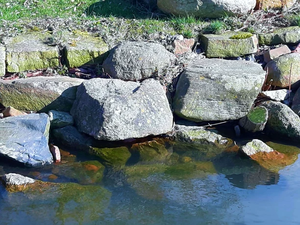 Steine am Wasserufer bei Wunstorf, grüne Wiese im Hintergrund, ruhiges Gewässer im Vordergrund.