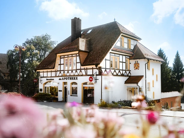 Schierker Feuerstein Stammhaus - Ferienwohnung