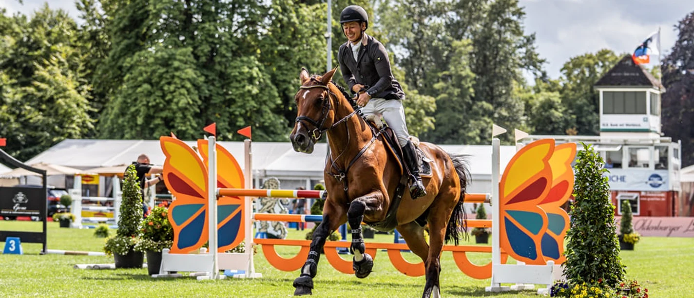 Reiter beim Landesturnier Reiter auf braunem Pferd beim Springturnier vor bunter Hinderniskulisse im grünen Schlosspark.