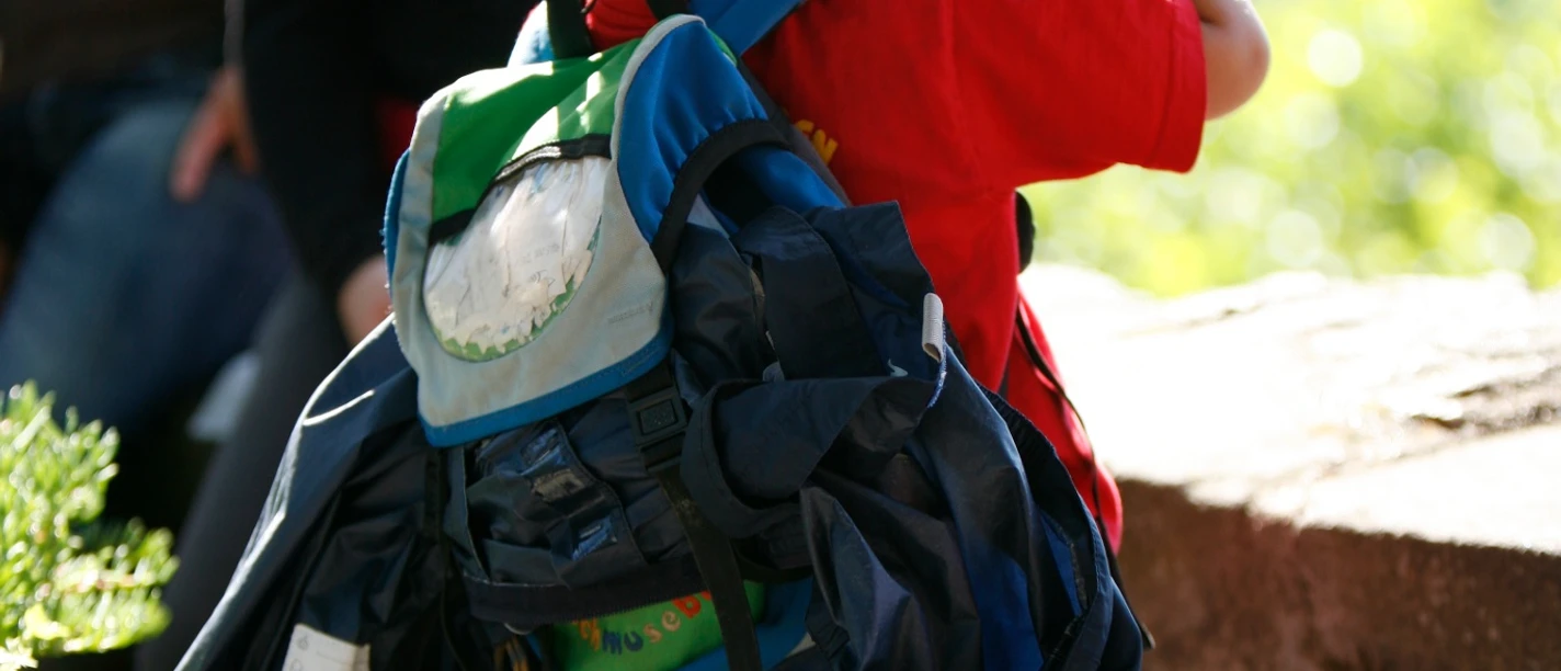 Kleiner Wanderer bei Schloss Eberstein