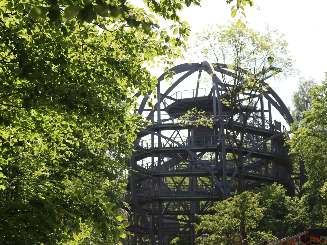 Baumwipfelpfad-Hallo-Frühling.JPG Baumwipfelpfad-Hallo-FrühlingTreetop Walk Hello SpringVandring i trætoppene Hej forårBoomkroonwandeling Hallo Lente