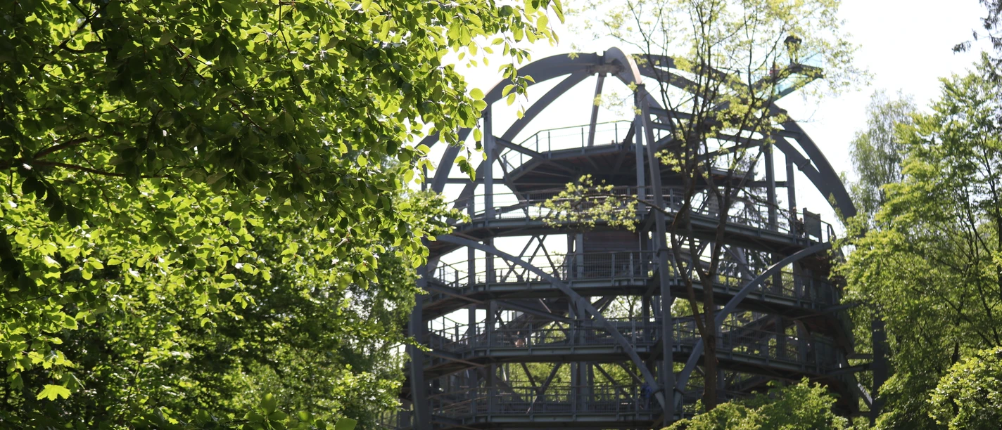 Baumwipfelpfad-Hallo-Frühling.JPG Treetop Walk Hello Spring