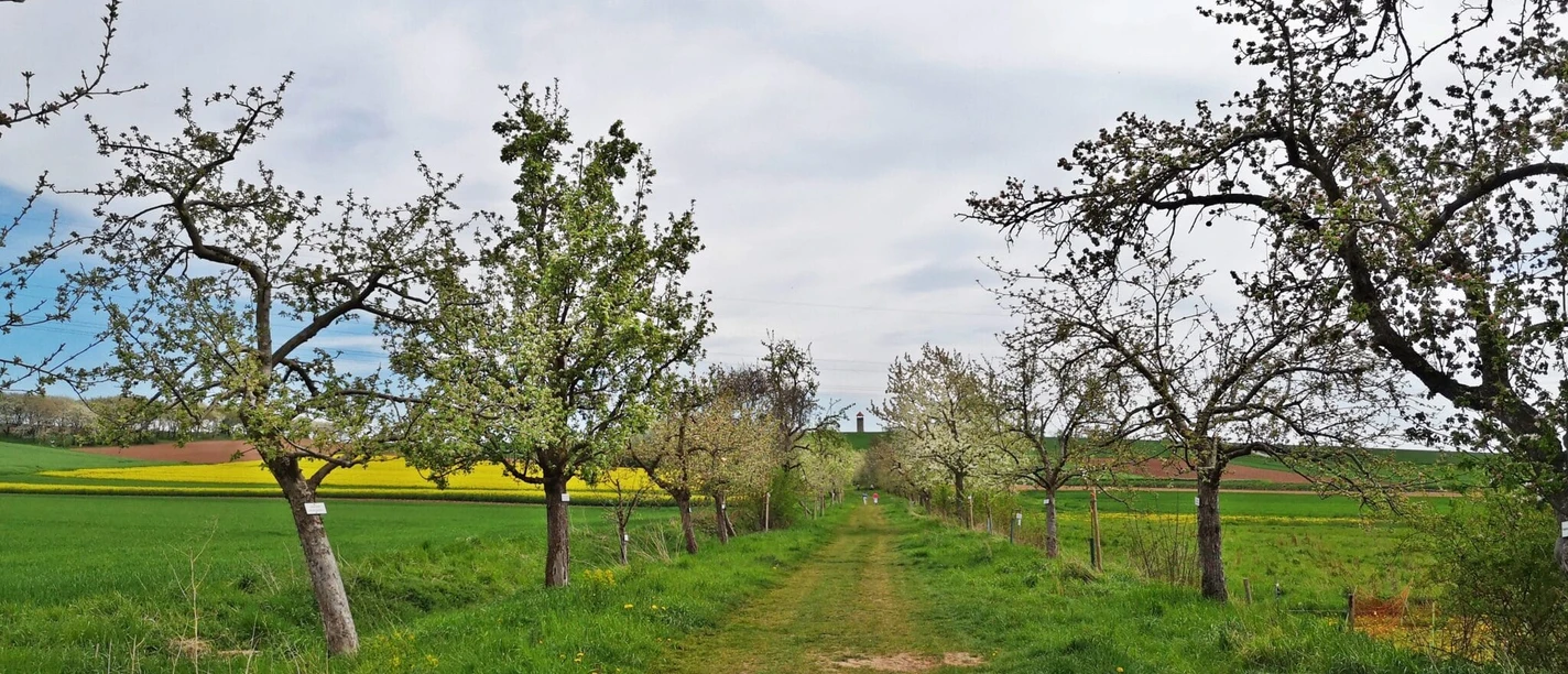 Streuobstwanderweg Mingerode