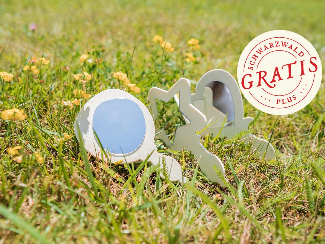 Handspiegel aus Holz