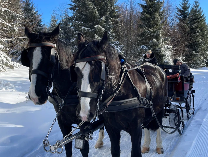 Pferdeschlitten Wilke-Mühle.jpg