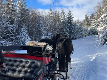 Pferdeschlitten Wilke-Mühle2.jpg