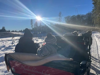 Pferdeschlittenfahrt Wilke-Mühle.jpg