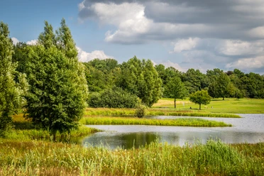 Espelkamp-See am Kleihügel Naturbelassener Espelkamp-See mit üppigem Grün, blühenden Wiesen und sanften Uferlinien im Sommer.