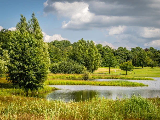 Espelkamp-See am Kleihügel Naturbelassener Espelkamp-See mit üppigem Grün, blühenden Wiesen und sanften Uferlinien im Sommer.