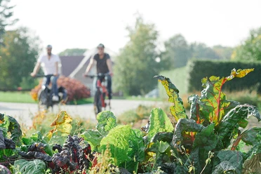 Gemuesetoern Glueckstadt Web