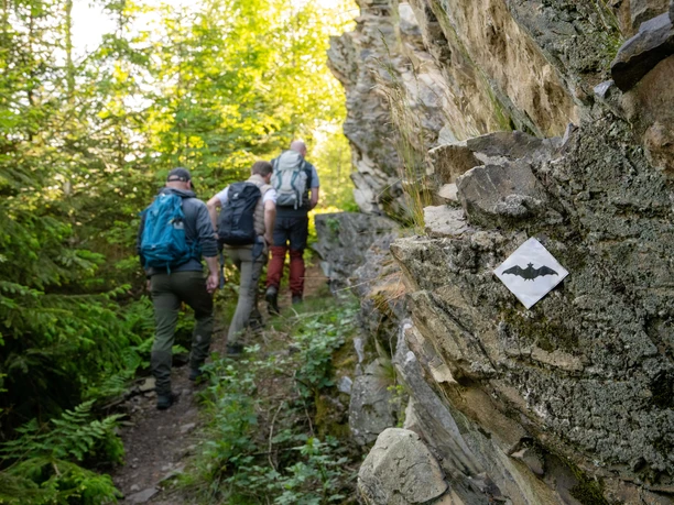 Bad Berleburg_Wanderweg Schieferpfad