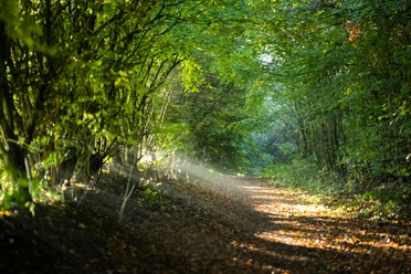 Knicklandschaft