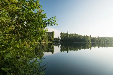 Menzelsee bei Hilden Blick auf einen ruhigen See mit umliegenden Bäumen und klarer Spiegelung der Vegetation im Wasser.