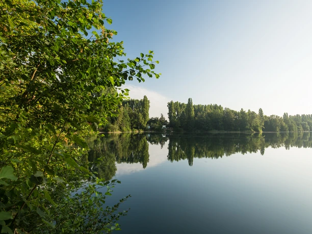 Menzelsee bei Hilden Blick auf einen ruhigen See mit umliegenden Bäumen und klarer Spiegelung der Vegetation im Wasser.