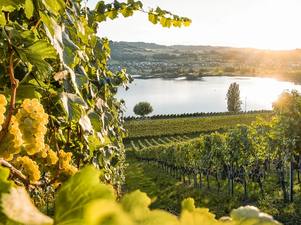 Nico Hess_Kalender 2024 (13).jpg