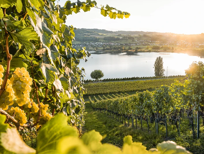 Nico Hess_Kalender 2024 (13).jpg