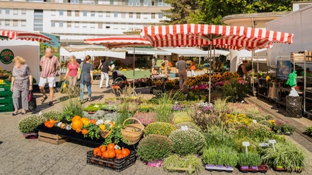 Wochenmarkt, Bild 1
