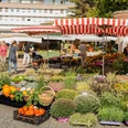 Wochenmarkt, Bild 1