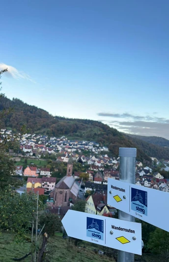 Blick auf die Gemeinde Weisenbach