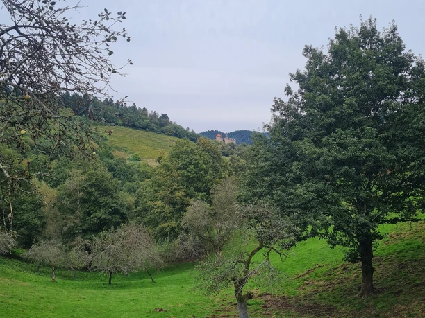 Ätzenbachtal