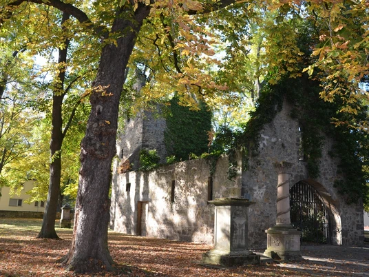 Vöppstedter Ruine mit Friedhof und Park in Salzgitter-Bad