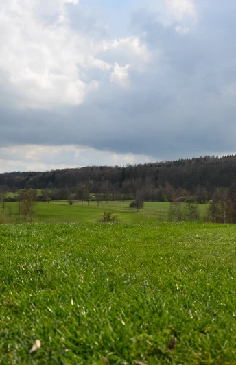 18-Loch Golfplatz Salzgitter-Liebenburg in Salzgitter-Bad mit Blick zum Brocken