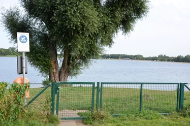 Hundebadestelle am Nordufer der Insel im Salzgittersee