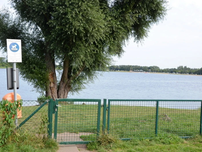 Hundebadestelle am Nordufer der Insel im Salzgittersee