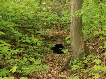 Kunstgraben westlich des Kunstteiches Wettelrode