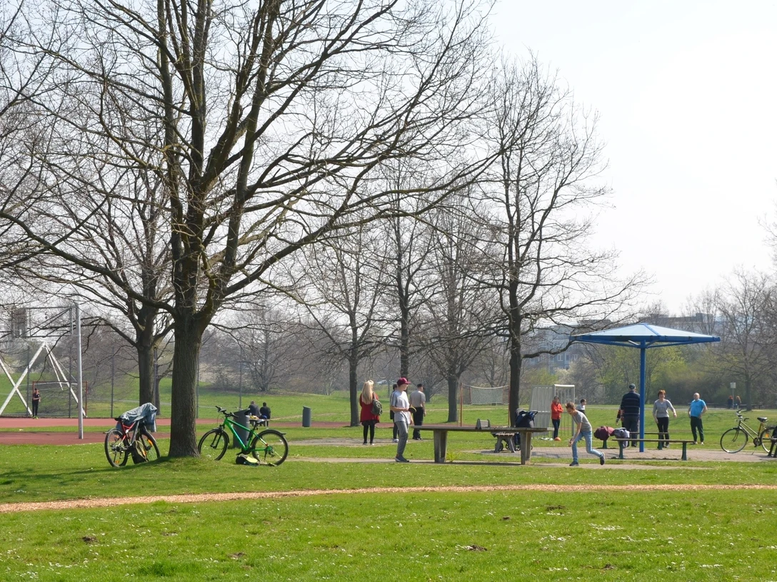 Freisportfläche am Südwestufer des Salzgittersees in Salzgitter-Lebenstedt
