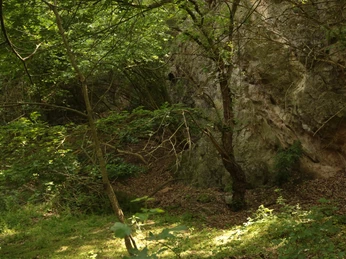südöstlicher Gipssteinbruch im Heinschen Tal