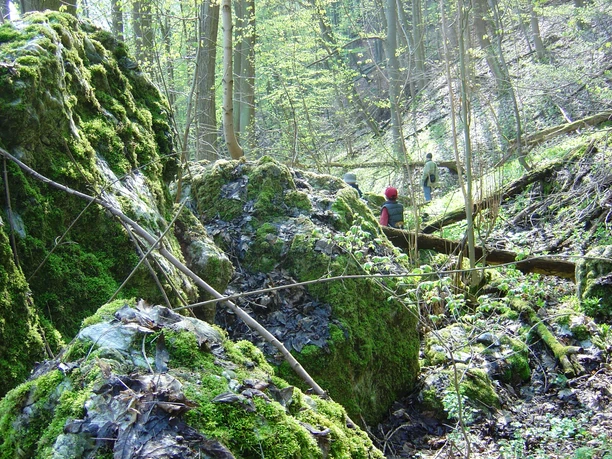 Alter Stolberg