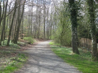 Terrainkurweg 2 Salzgitter-Bad, Hasenspringroute