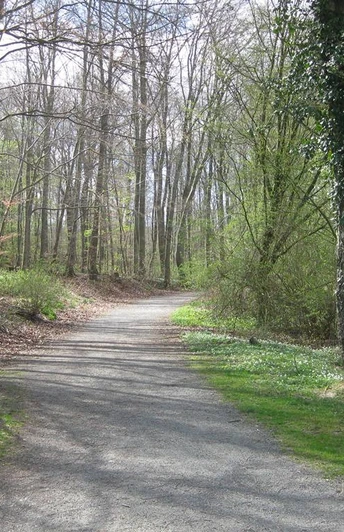 Terrainkurweg 2 Salzgitter-Bad, Hasenspringroute