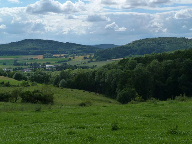 Hessenturm Niedenstein